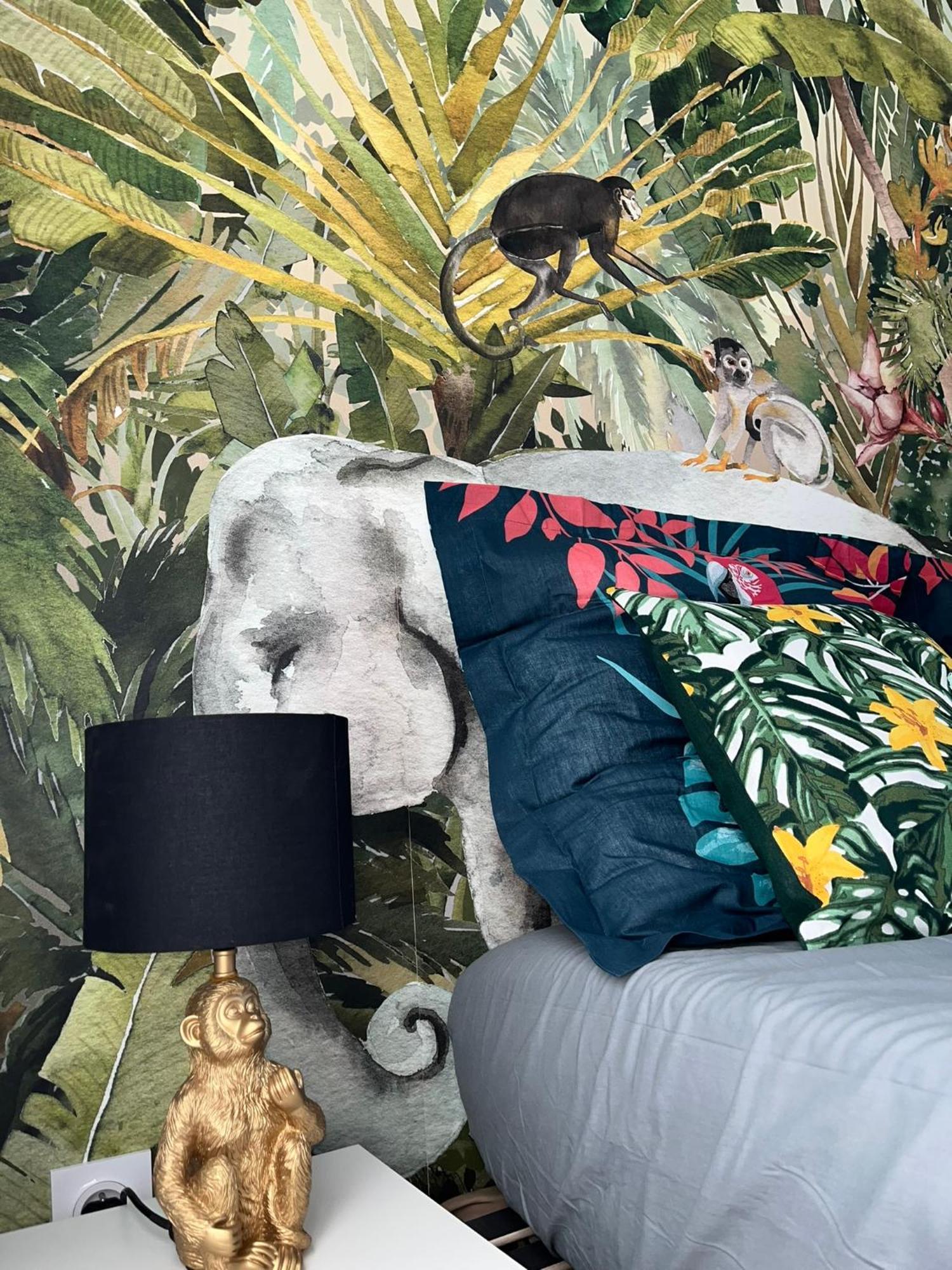 Studio Tropical , Vierzon , Proche Gare , Tout Confort מראה חיצוני תמונה