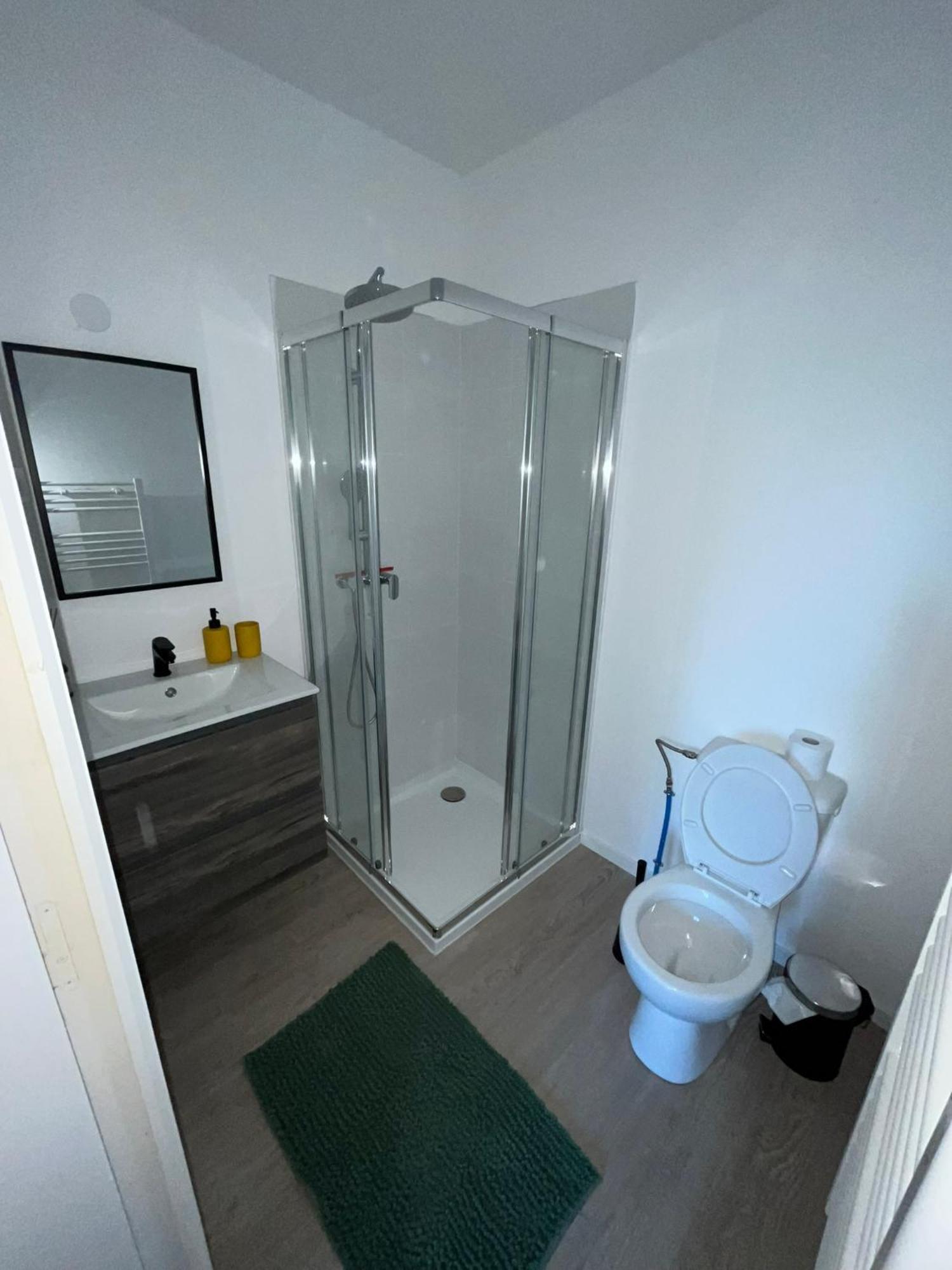 Studio Tropical , Vierzon , Proche Gare , Tout Confort מראה חיצוני תמונה
